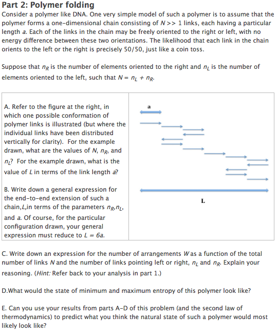 Consider a polymer like DNA. One very simple model of | Chegg.com