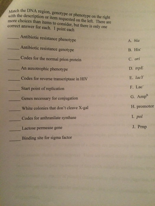Solved Match the DNA region, genotype or phenotype on the | Chegg.com