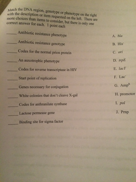 Solved Match the DNA region, genotype or phenotype on the | Chegg.com