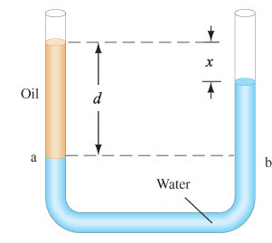 Solved Water and then oil (which don't mix) are poured into | Chegg.com