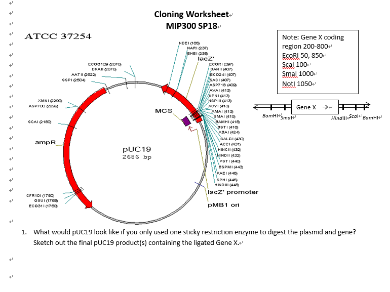 Solved Cloning Worksheet» MIP300 SP18 ATCC 37254 Note Gene