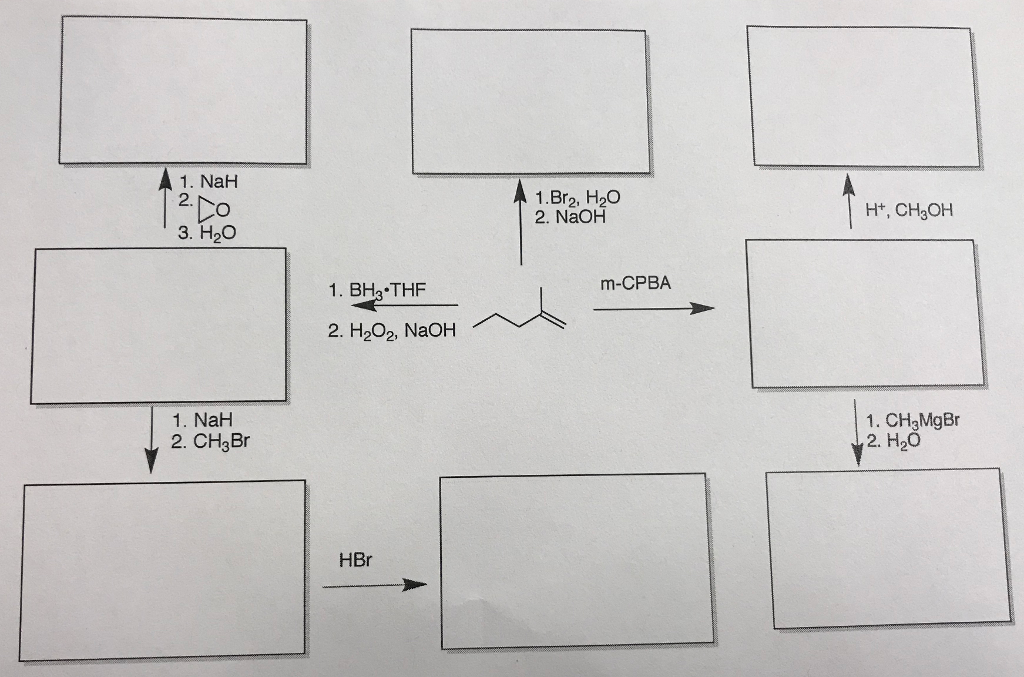 Solved 1. NaH 2. 1.Br2, H20o 2. NaOHH Ht, CH3OH 3. H2O 1 . | Chegg.com