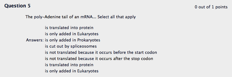 Solved Question 5 out of 1 points The poly-Adenine tail of | Chegg.com