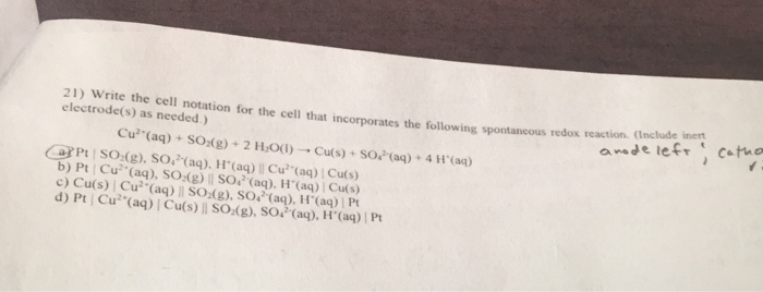 Solved Write the cell notation for the cell that | Chegg.com