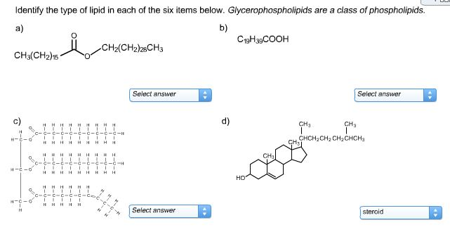 Solved Identify the type of lipid in each of the six items | Chegg.com