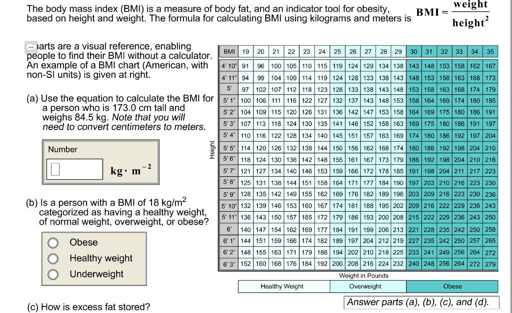 body mass index calculator visual basic