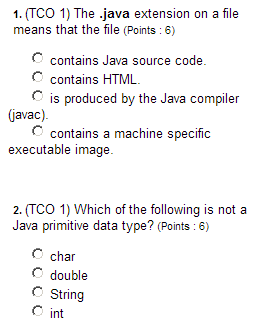 Solved (TCO 1) The Java extension on a file means that the | Chegg.com