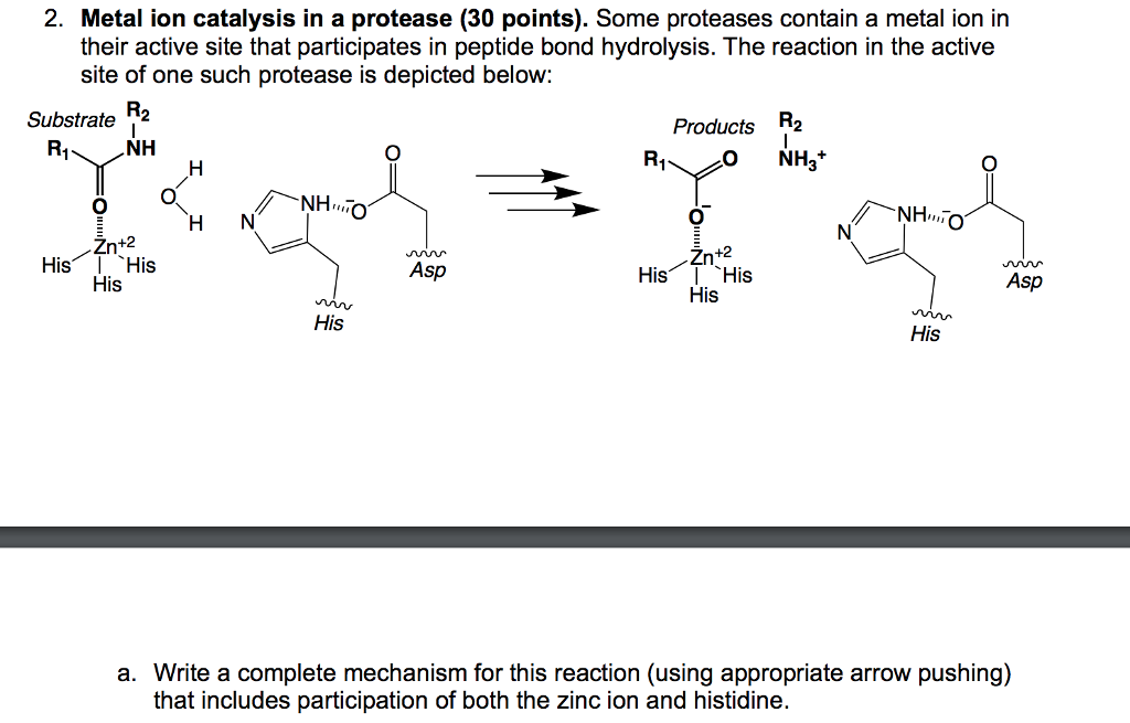 Solved 2. Metal ion catalysis in a protease (30 points).