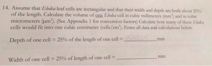 assume-that-elodea-leaf-cells-are-rectangular-and-chegg