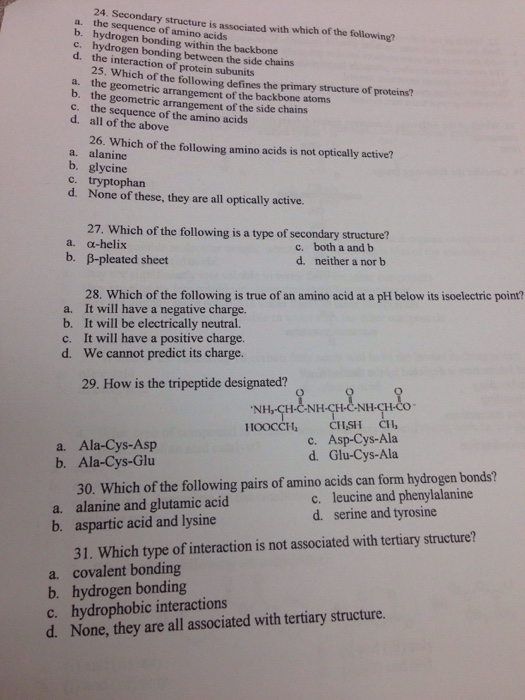 Solved Secondary structure is associated with which of the | Chegg.com