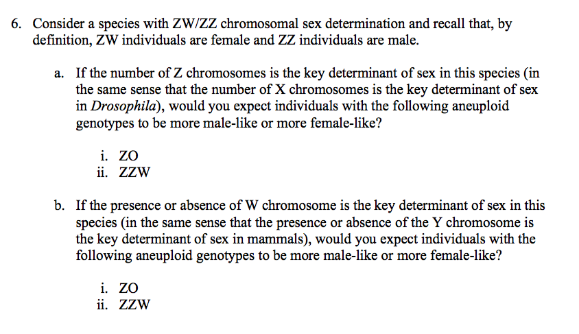 Solved 6 Consider A Species With Zw Zz Chromosomal Sex