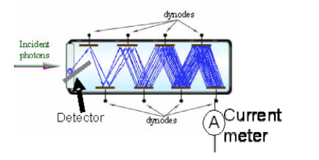 Solved Photomultiplier tubes (PMTs) are used in many