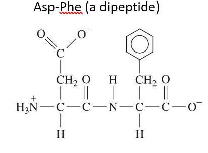 Solved Label and circle the functional groups of Asp-phe | Chegg.com