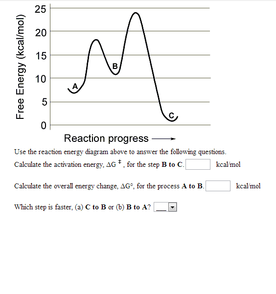 Solved Use the reaction energy diagram above to answer the | Chegg.com