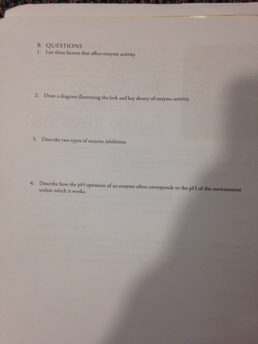 Solved: List Three Factors That Affect Enzyme Activity. Dr... | Chegg.com