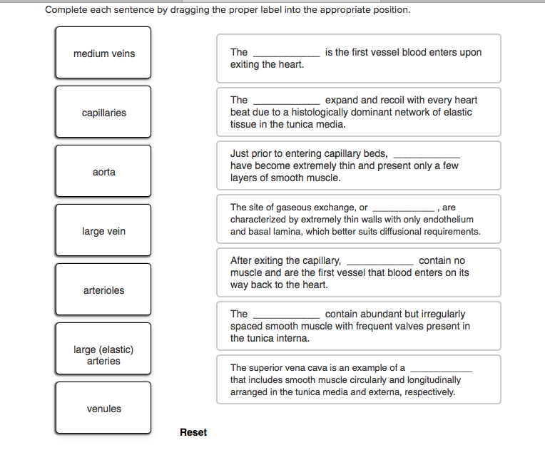 Biology Archive June 03, 2017
