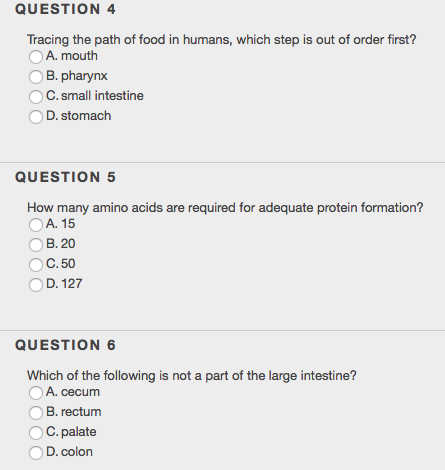 Solved Tracing The Path Of Food In Humans Which Step Is Out Chegg Solved Tracing The Path Of Food In Humans Which Step Is Out Chegg
