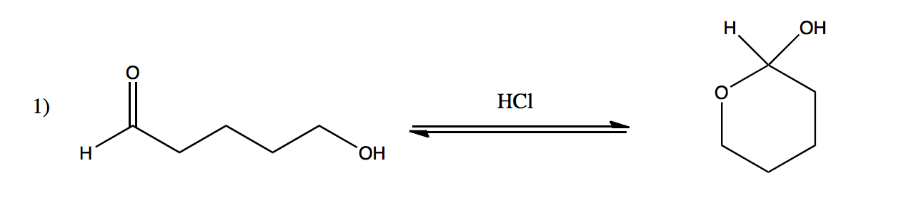 Solved Write both the forward and backward mechanism for the | Chegg.com