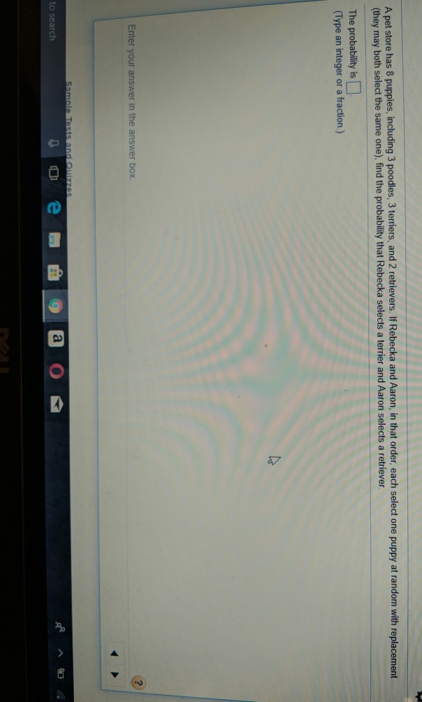 Solved A pet store has 8 puppies, including 3 poodles, 3