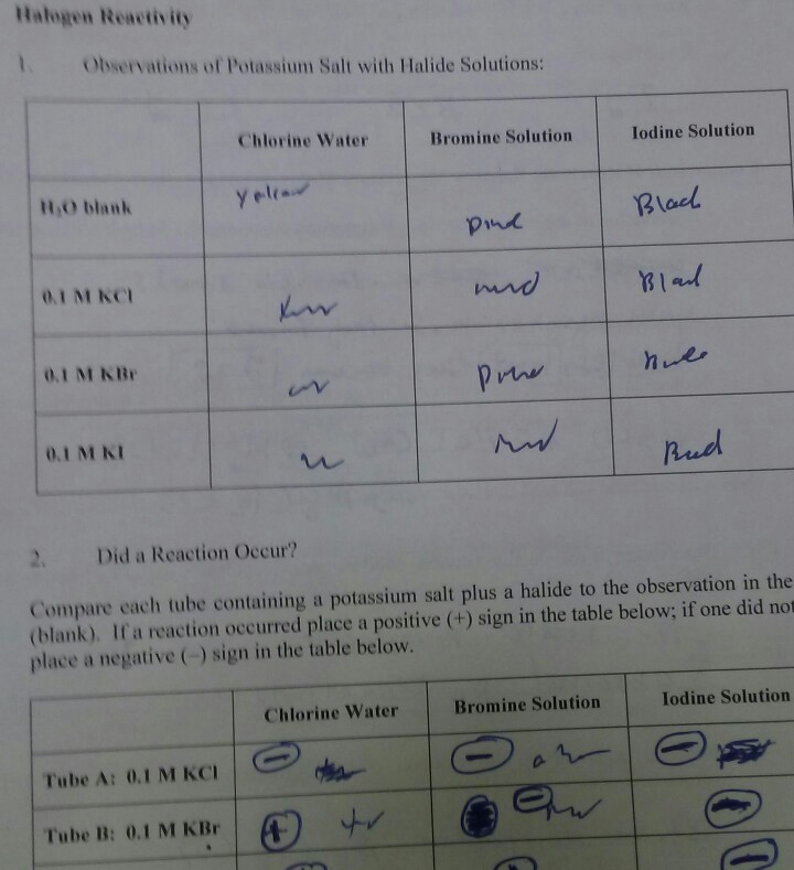 Solved Ualogen Reactiv ity Observations of Potassium Salt