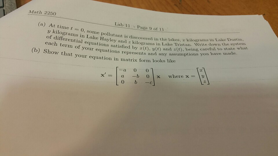 Solved Math 2250 Lab 11 - Page 8 of II 4. [Lake Pollution] | Chegg.com