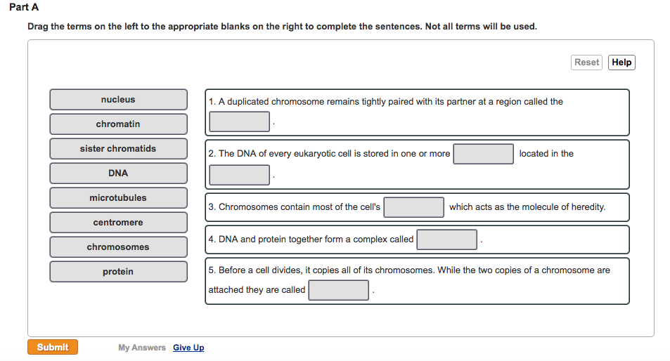 Solved Drag the terms on the left to the appropriate blanks | Chegg.com