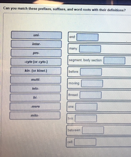 Solved Can you match these prefixes, suffixes, and word  Chegg.com