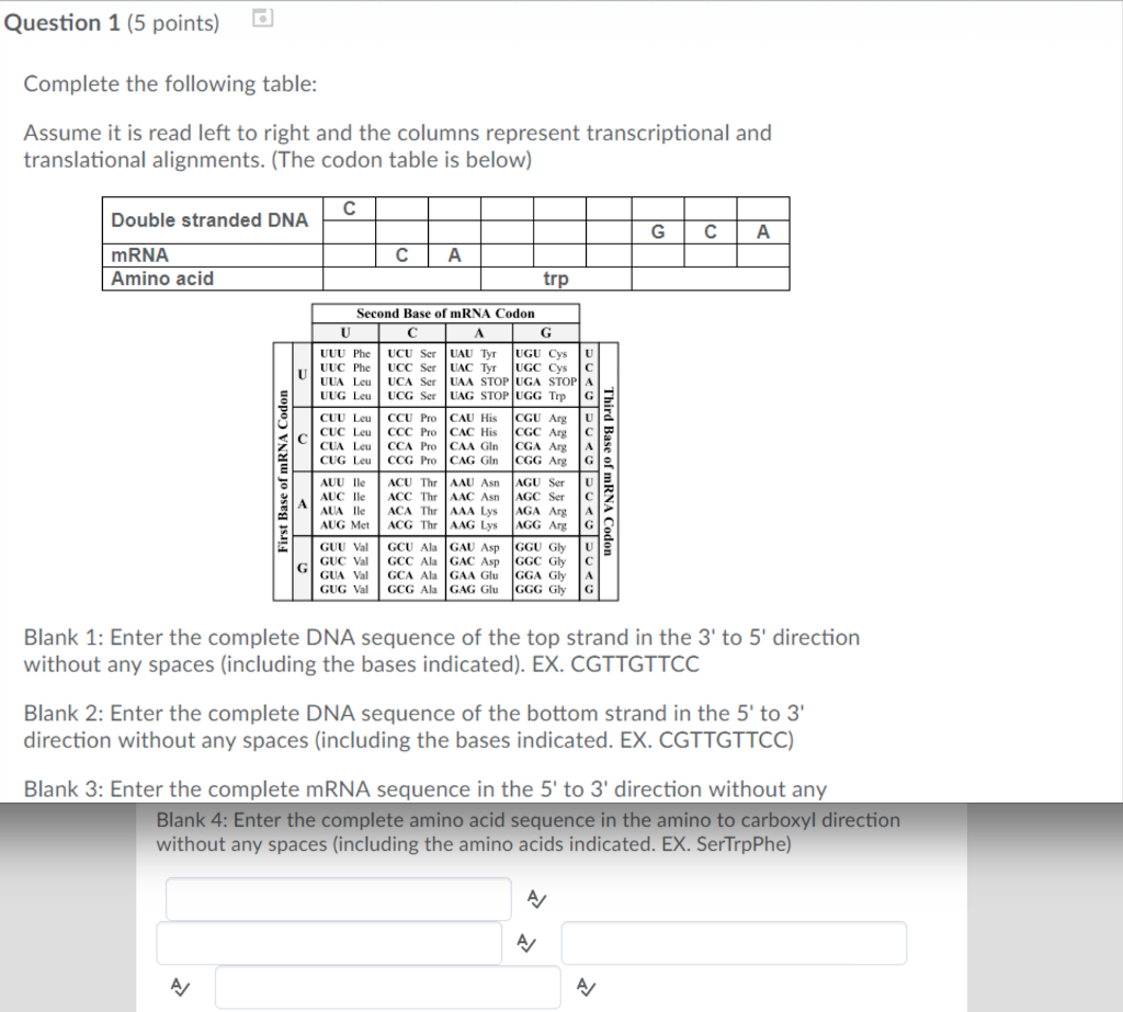 Solved 0 ti he C in G dC ti ed h e li t t Third Base of mRNA | Chegg.com