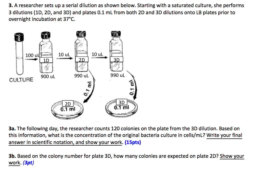 solved-3-a-researcher-sets-up-a-serial-dilution-as-shown-chegg