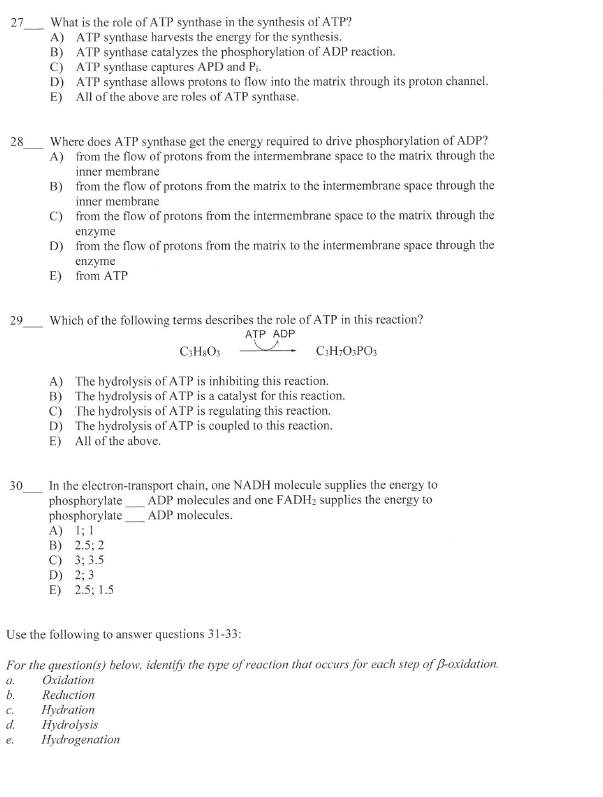 Solved 16 What is the identity of the molecule represented | Chegg.com