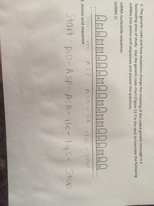 Solved Mutations Are Changes In The Dna Code As We Learned Chegg Com