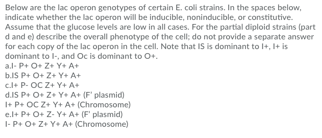 Solved Below are the lac operon genotypes of certain E. coli | Chegg.com