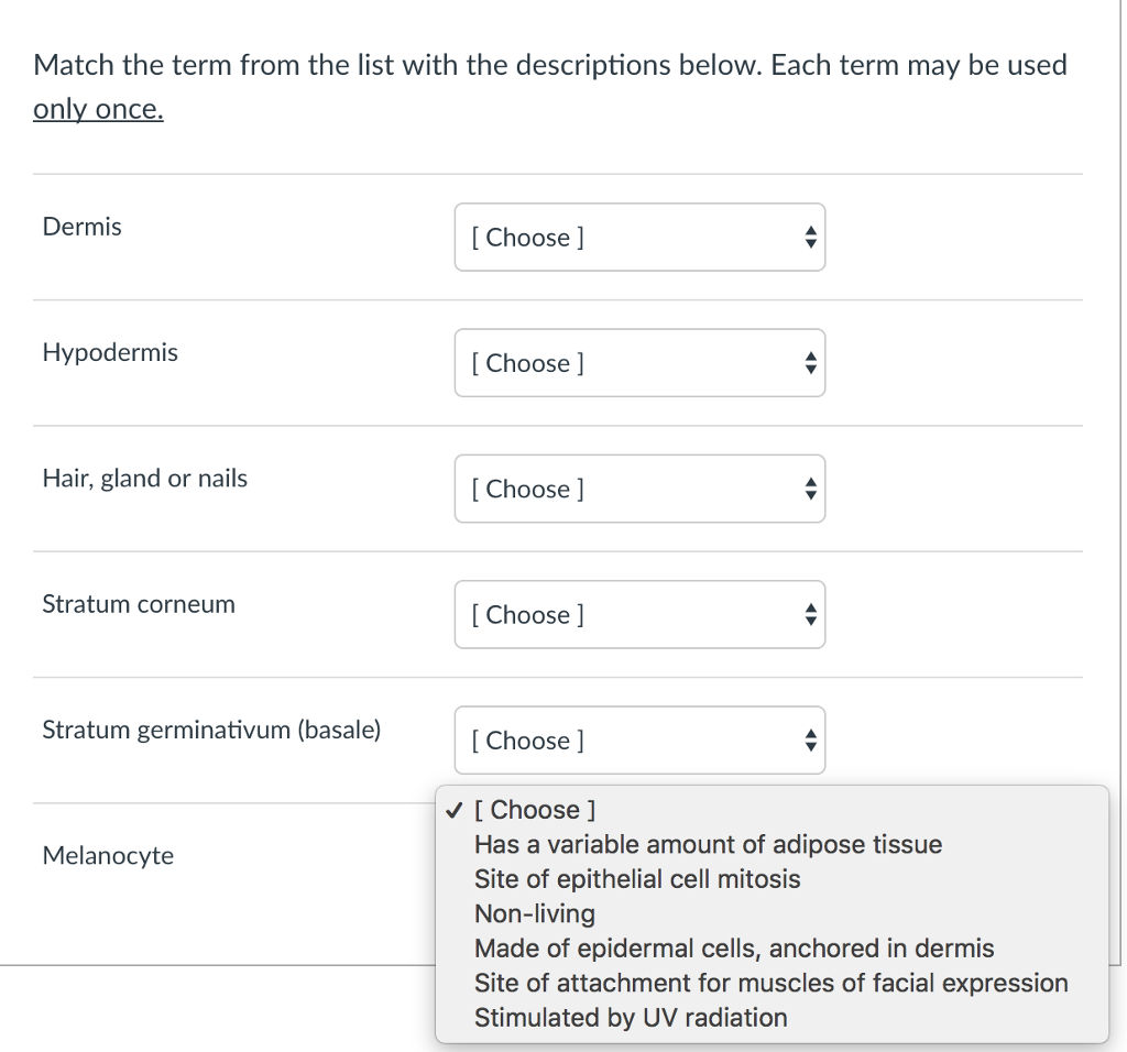 Solved Match The Term From The List With The Descriptions | Chegg.com