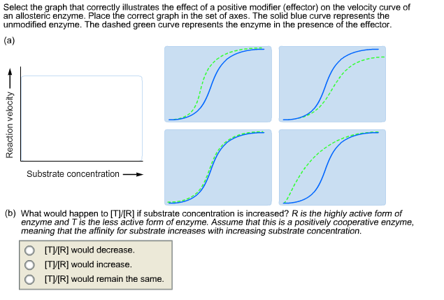 Solved Select The Graph That Correctly Illustrates The Chegg Com