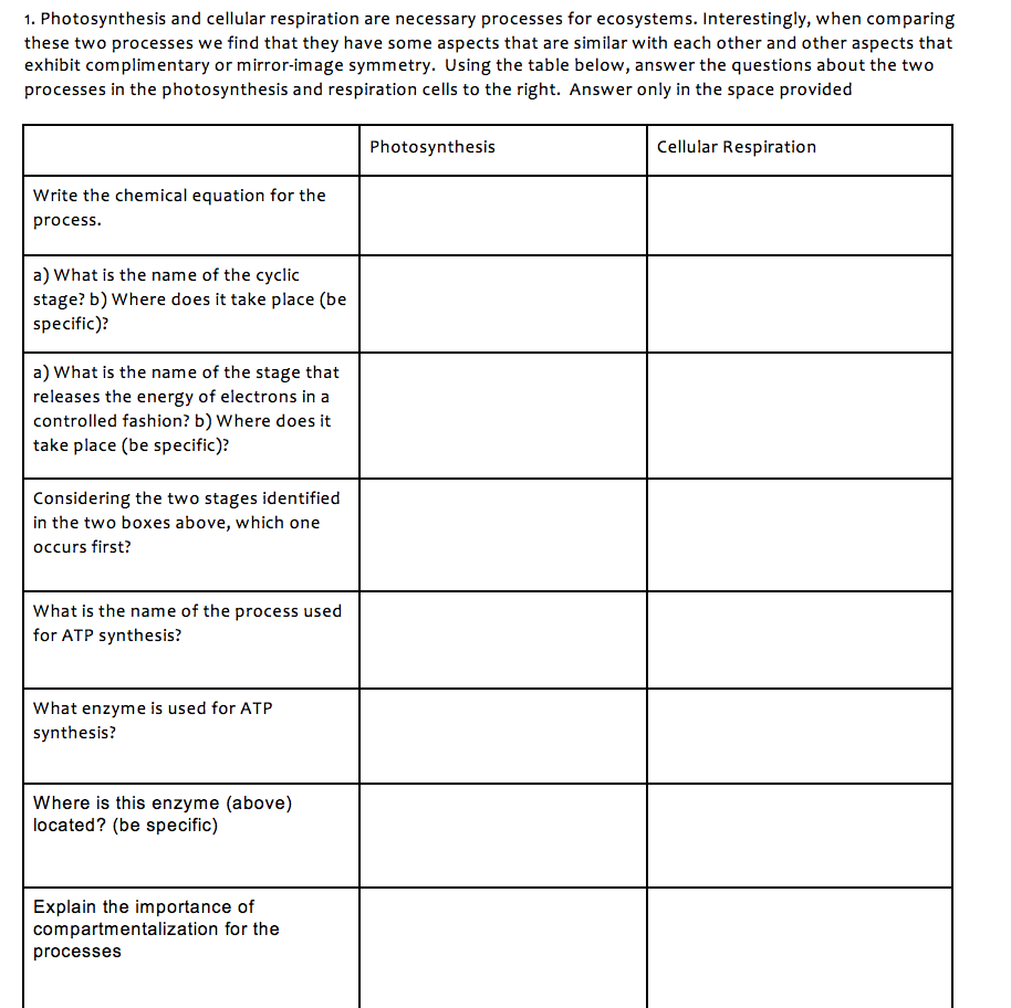 how-are-photosynthesis-and-cellular-respiration-similar