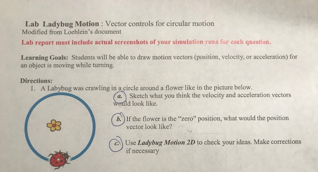 Solved Lab Ladybug Motion : Vector controls for circular | Chegg.com