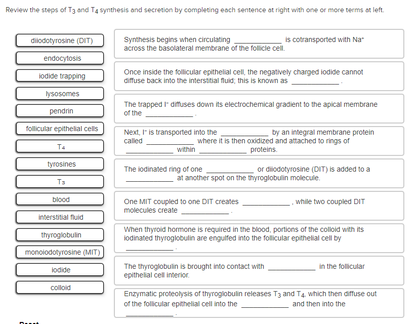 Solved Your patient is observed to have symptoms that are | Chegg.com