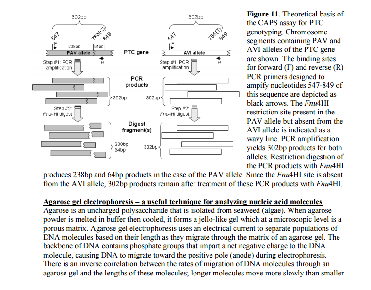 Solved CAN SOME PLEASE HELP ME INTERPRET THIS FIGURE? | Chegg.com