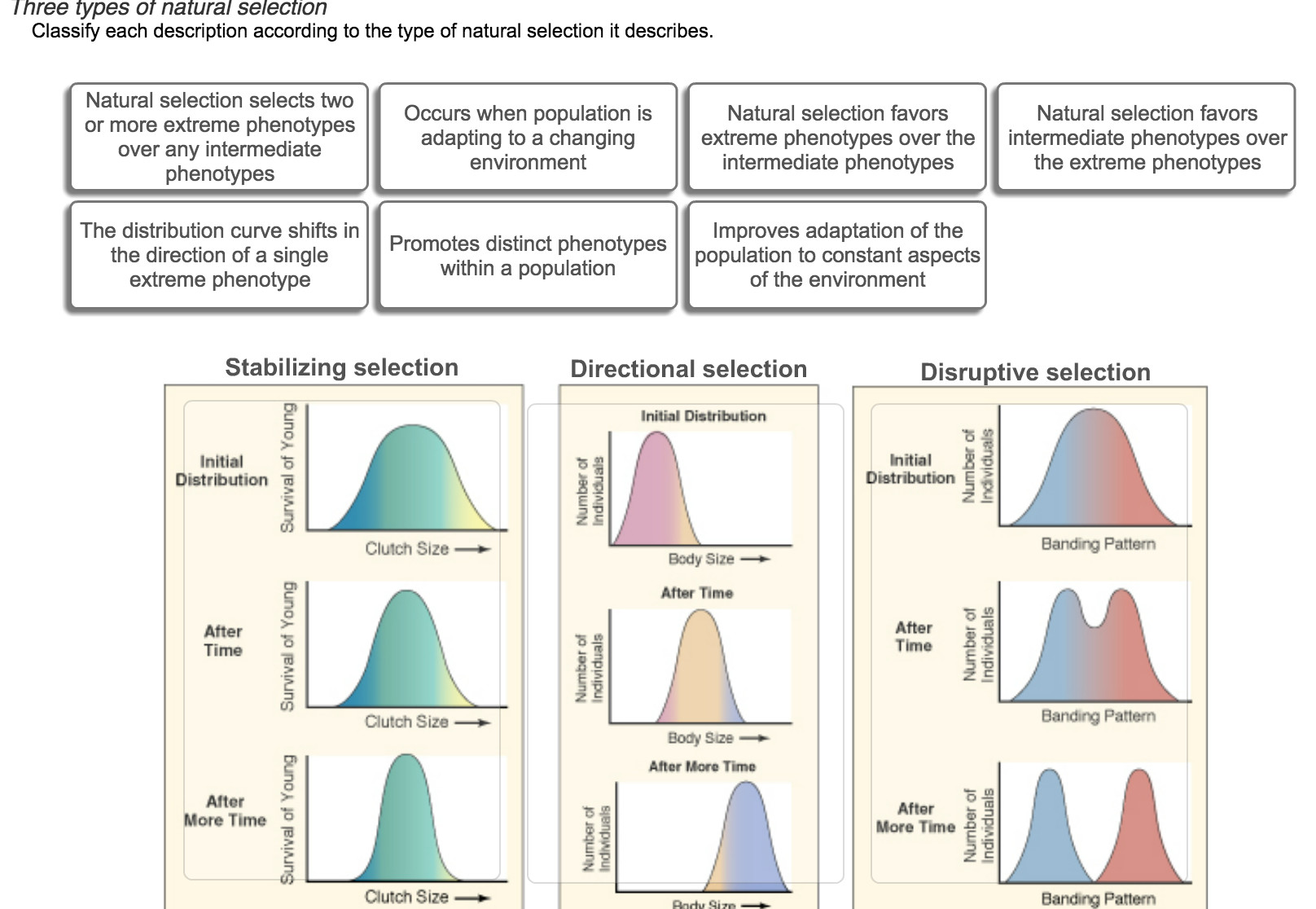 solved-three-types-of-natural-selection-classify-each-chegg