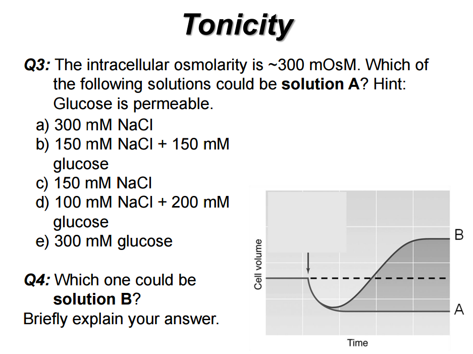 Solved Q3 The intracellular osmolarity is 300 mOsM. Which