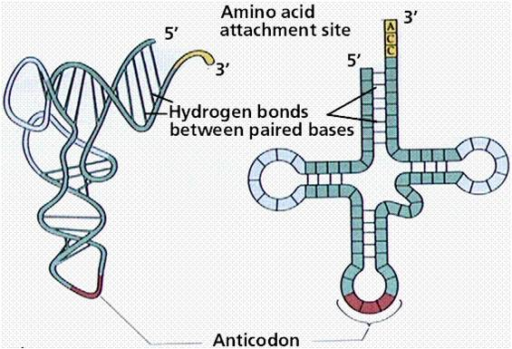 science-what-is-gene-drive-technology-and-what-does-it-mean-for-new