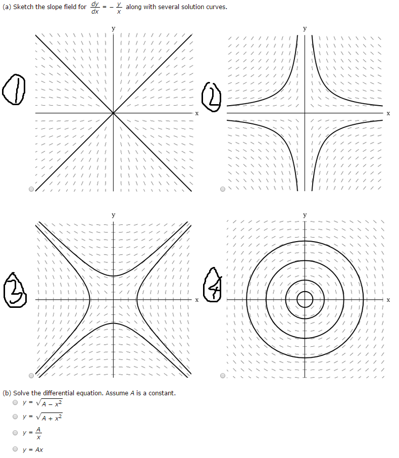 solved-sketch-slope-field-for-dy-dx-y-x-along-with-chegg