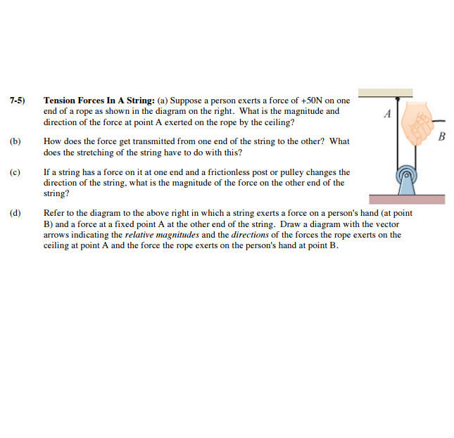 Solved Tension Forces In A String: (a) Suppose a person | Chegg.com