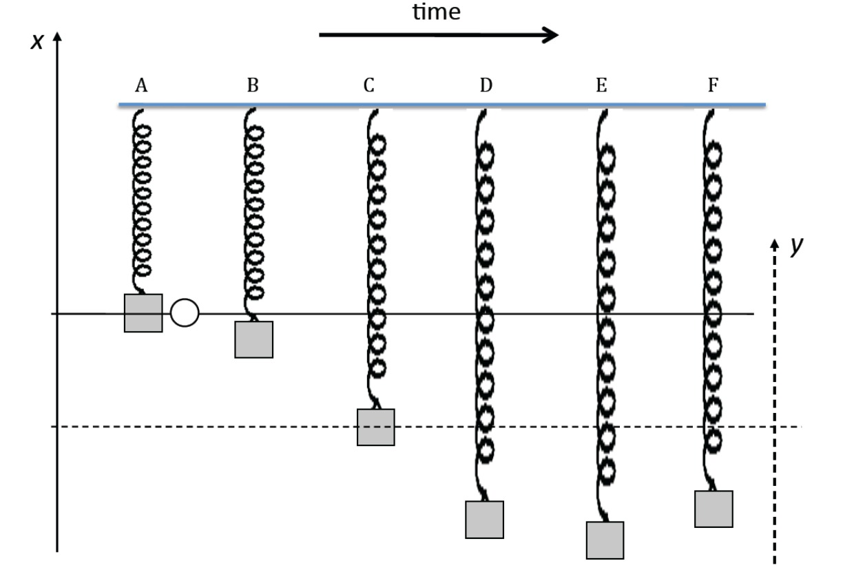 Spring Force Free Body Diagram General Wiring Diagram