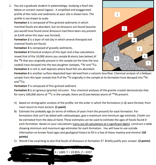 Solved 1 You Are A Graduate Student In Paleontology Chegg Com