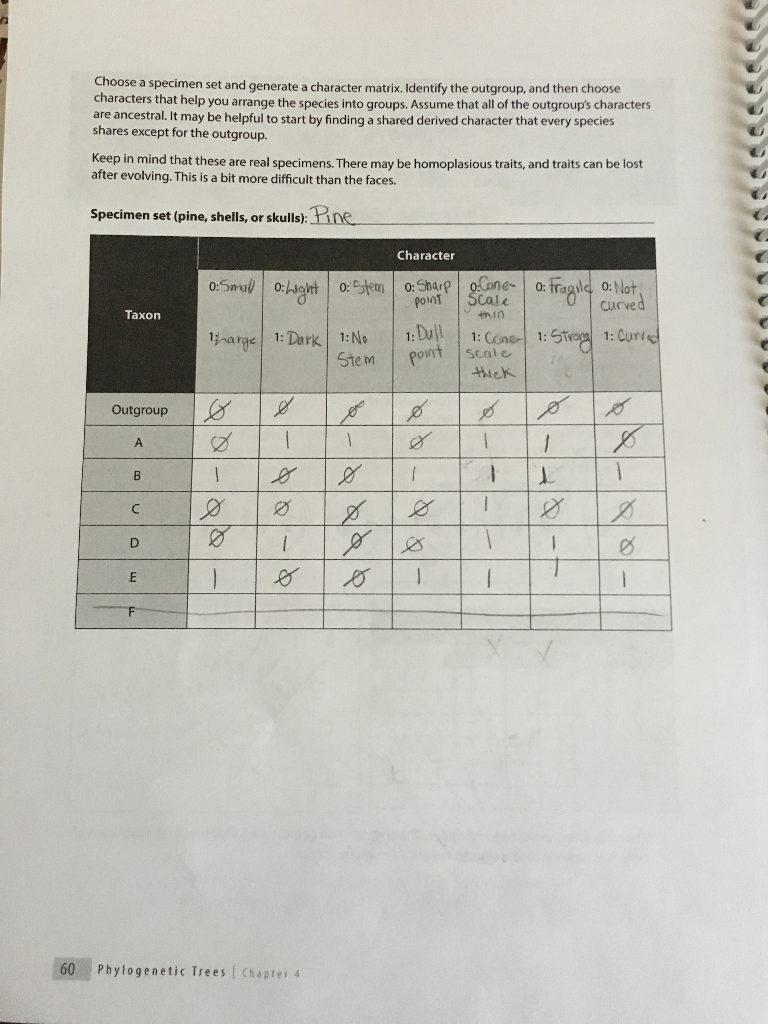Solved Choose a specimen set and generate a character