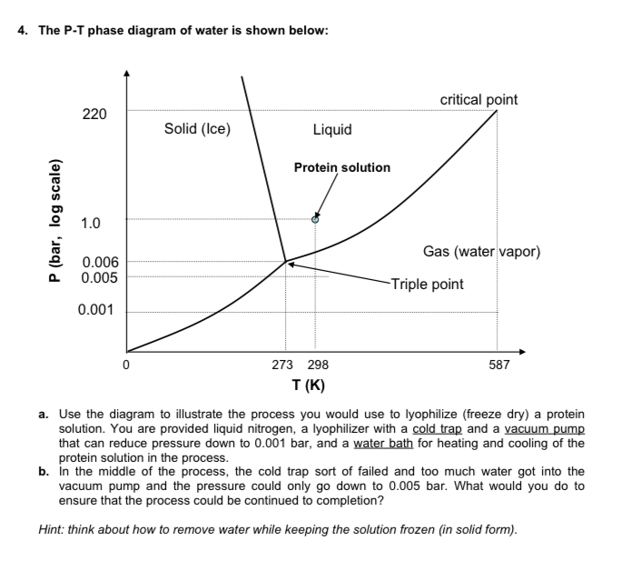 Water P T Diagram