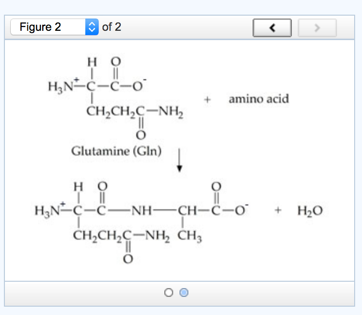 Solved In the reaction shown here (Figure 2), two amino