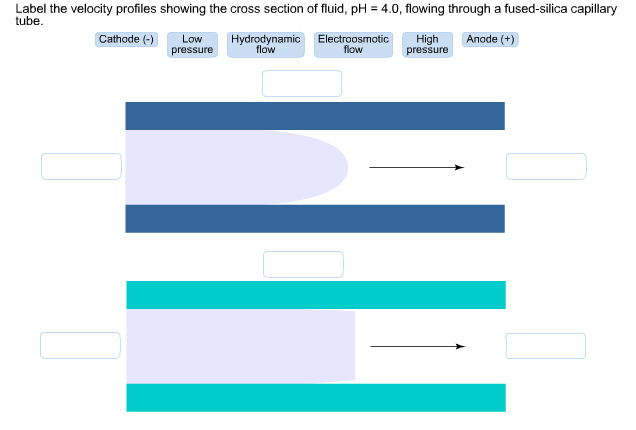 Solved Label the velocity profiles showing the cross section | Chegg.com