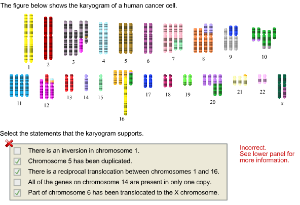 Solved The figure below shows the karyogram of a human | Chegg.com